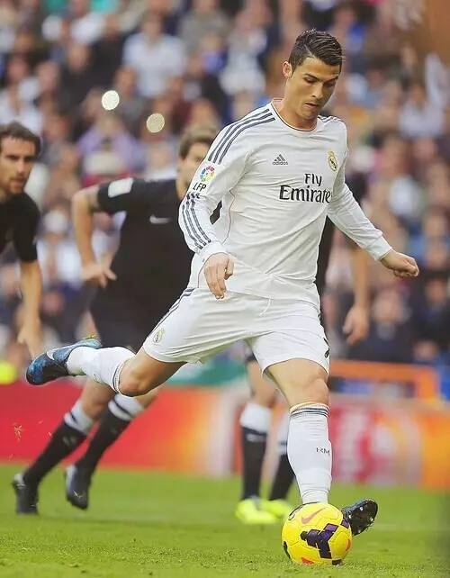 沙漠之鹰！贝林厄姆社媒晒沙特度假之行与雄鹰合影（贝林厄姆沙特度假：社媒晒与雄鹰同框，尽享沙漠风情）